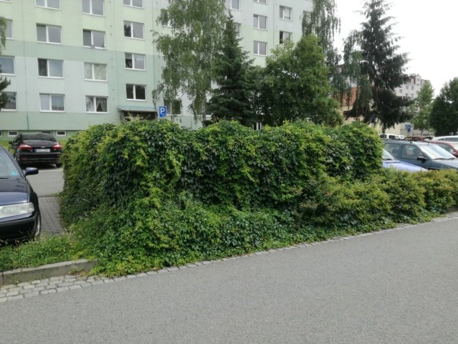 Na náměstí Míru si zvyknu, na zanedbané město ne!