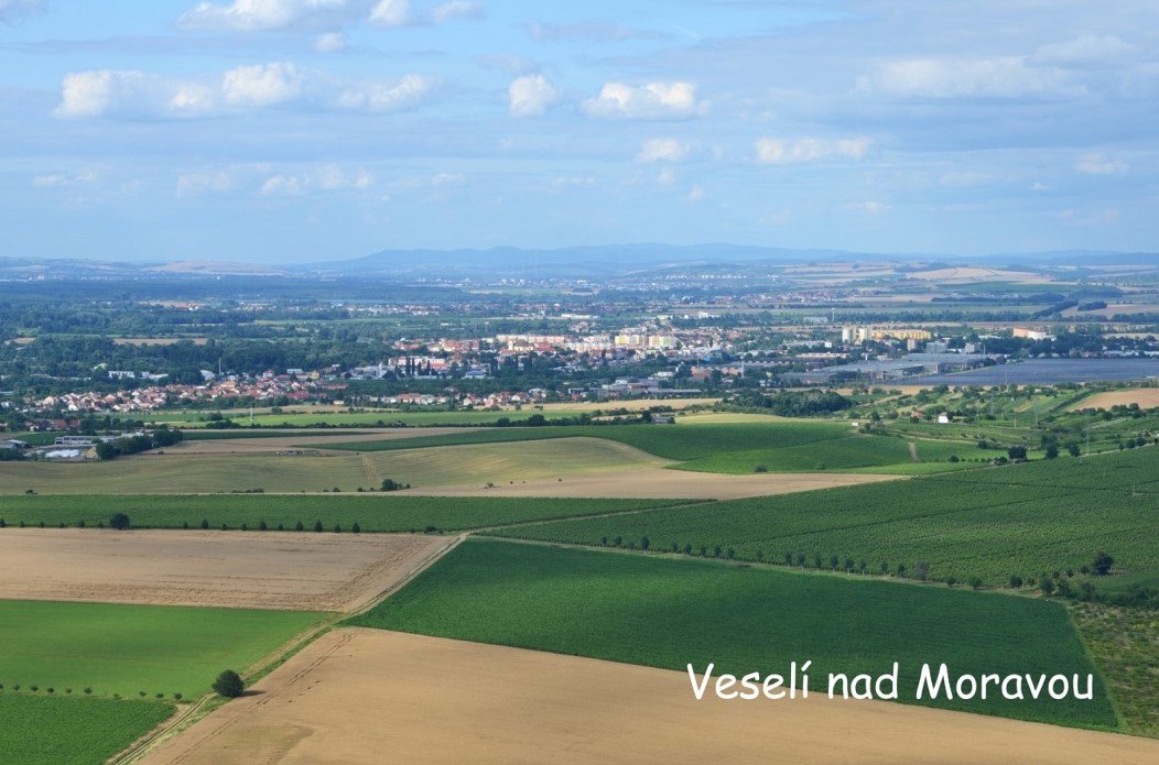 Orel je připraven ke vzletu
