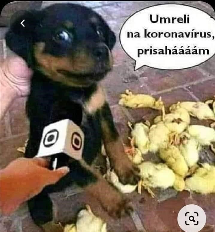 Humor ve vrcholné době koronavirové